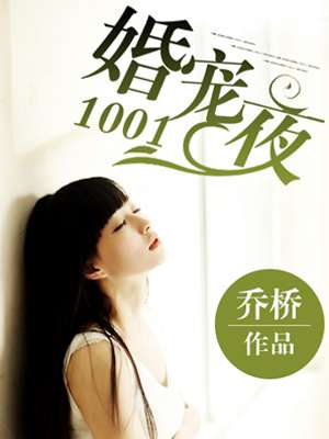 婚宠1001夜小说封面