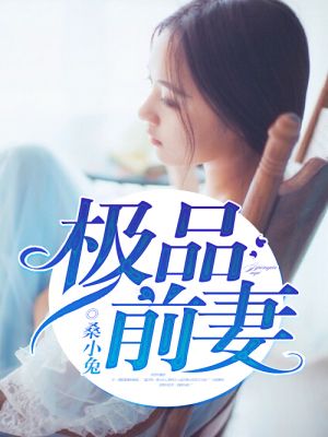 极品前妻小说封面