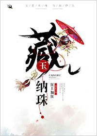 藏玉纳珠小说封面