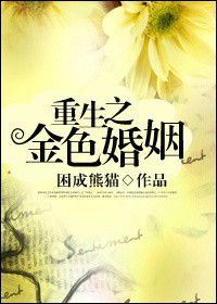 重生之金色婚姻小说封面